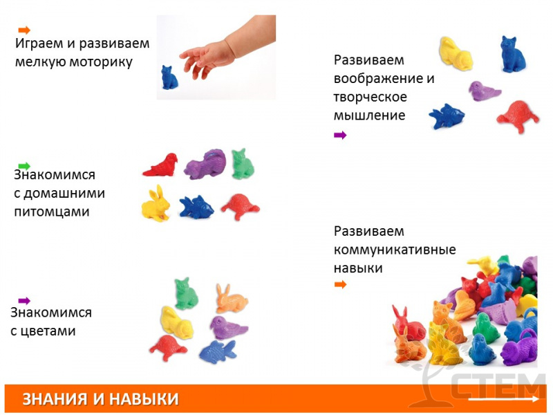 Материал счетный фигурки "Питомцы" (72 шт., 6 видов, 6 цветов)